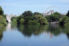 St James's Park Westminster.