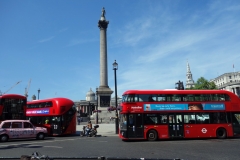 Trafalgar Square och Nelson's Column, West End.