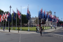 Parliament Square Garden, Westminster.