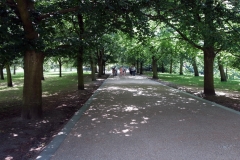 Greenwich Park på väg upp till Royal Observatory.