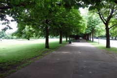 Greenwich Park.