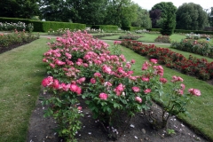 Rose Garden, Greenwich Park.