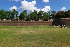 Den enorma stadsmuren runt staden. Lucca är den enda staden i Italien som har en intakt stadsmur.