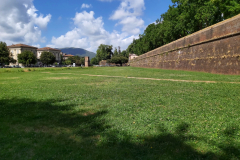 Den enorma stadsmuren runt staden. Lucca är den enda staden i Italien som har en intakt stadsmur.