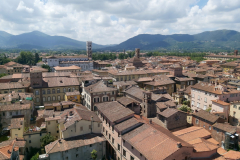 Utsikten från Torre Guinigi, Lucca.
