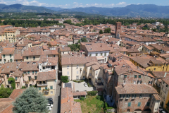 Utsikten från Torre Guinigi, Lucca.