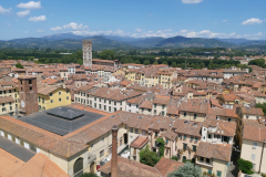 Utsikten från Torre Guinigi, Lucca.
