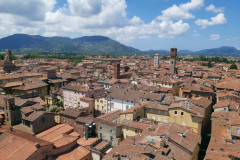 Utsikten från Torre Guinigi, Lucca.