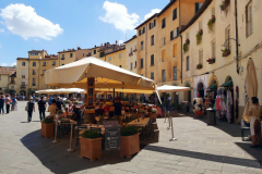 Fantastiskt vackra Piazza dell'Anfiteatro, Lucca.