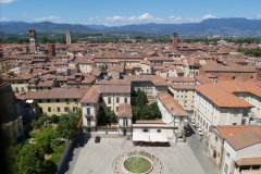 Utsikten från tornet tillhörande katedralen Duomo di Lucca, Lucca.