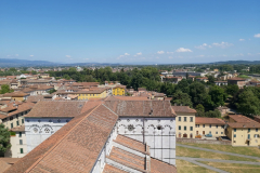 Utsikten från tornet tillhörande katedralen Duomo di Lucca, Lucca.