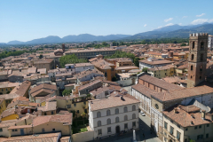 Utsikten från tornet tillhörande katedralen Duomo di Lucca, Lucca.