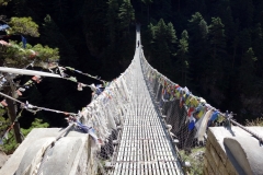 Tillbaka på Edmund Hillary-hängbron!
