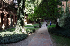 Ordensborgen Malbork.