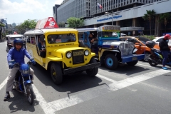 Jeepneys vid rödljus på Makati Ave, Makati Manila