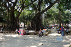 Parque Bolívar, Medellín.