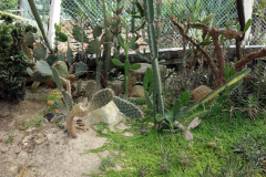 Jardín Botánico Joaquín Antonio Uribe, Medellín.