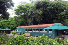 Jardín Botánico Joaquín Antonio Uribe, Medellín.