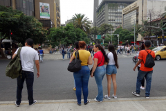Gatuscen downtown Medellín.