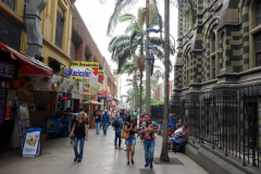 Vid Palacio de la Cultura Rafael Uribe Uribe, Medellín.