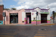 Gatuscen vid Parque de La Mejorada, Mérida.