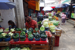 Mercado Lucas De Galvéz, Mérida.