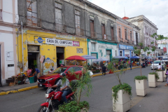 Gata i närheten av Mercado Lucas De Galvéz, Mérida.