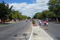 Stängd för motortrafik på söndagar, Paseo de Montejo, Mérida.