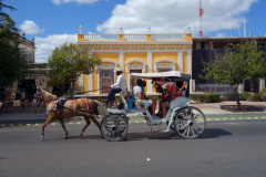 Grandios kolonial arkitektur längs Paseo de Montejo, Mérida.