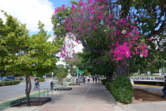 Paseo de Montejo, Mérida.