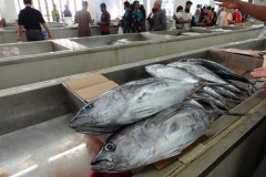 Fiskmarknaden, Mutrah.