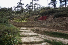 Leden ut ur Khunde tillbaka mot Namche Bazaar.