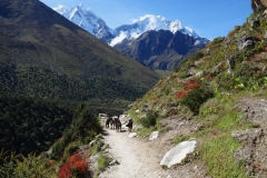 En fantastiskt vacker vy längs leden mellan Somare (4010 m) och Pangboche (3930 m).