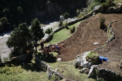 Lokalbefolkningen i arbete i Pangboche (3930 m).