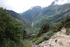 Naturen på vandringen utför branten från Tengboche ner mot Phunki Tenga.