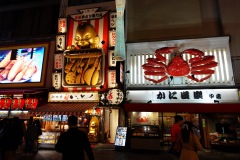 014-Osaka-15-Mars-26