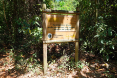 Entrén till Parque Nacional Natural Tayrona.