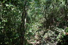 Parque Nacional Natural Tayrona.