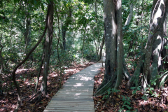 Parque Nacional Natural Tayrona.