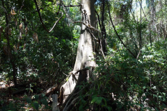 Parque Nacional Natural Tayrona.