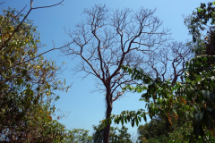 Parque Nacional Natural Tayrona.