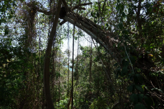 Parque Nacional Natural Tayrona.