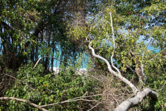 Parque Nacional Natural Tayrona.