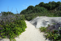 Parque Nacional Natural Tayrona.