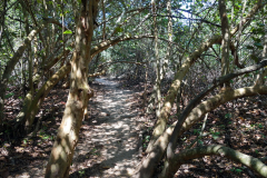 Parque Nacional Natural Tayrona.