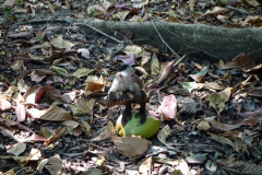 Parque Nacional Natural Tayrona.