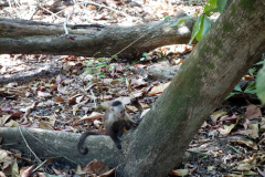 Parque Nacional Natural Tayrona.