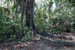 Parque Nacional Natural Tayrona.
