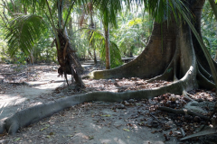 Parque Nacional Natural Tayrona.