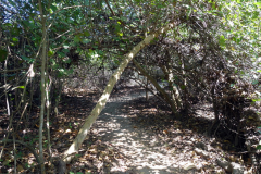 Parque Nacional Natural Tayrona.